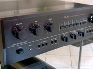 Accuphase E-205 - Bruchköbel Zentrum