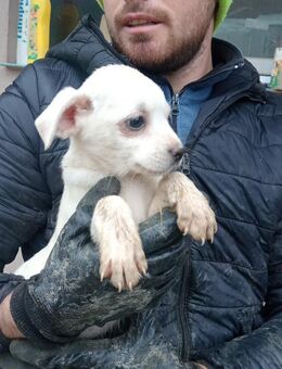 Giliane, in Sicherheit geboren - Steinhagen (Nordrhein-Westfalen)