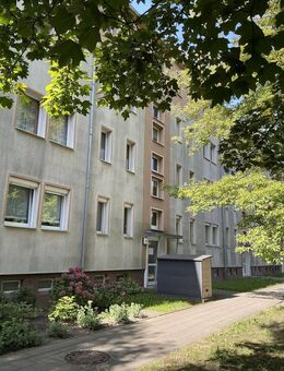 Raum für Neues - Wir sanieren eine 3-Raumwohnung in Wolfen-Nord ! - Bitterfeld-Wolfen