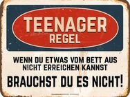 Witziges Blechschild Teenager Regel 17x22 cm Top Qualität kleiner Preis - 3091 - Berlin