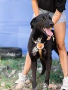 hübsche Delany sitzt schon viel zu lange - München