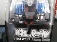 ⭐ US Car Fahrer H13 Xenon Birne/Lampe ⭐ Ultra White ⭐ Megahell ⭐ - Essen