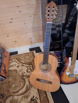 Gitarren zu verkaufen - Großröhrsdorf