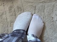 Getragen Sneaker socken - Hagen (Stadt der FernUniversität)