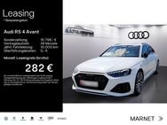 Audi RS4, Avant Stadt Tour, Jahr 2023 - Oberursel (Taunus)