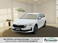 Skoda Octavia, 2.0 TDI Combi Selection 110kW, Jahr 2024 - Gardelegen (Hansestadt)