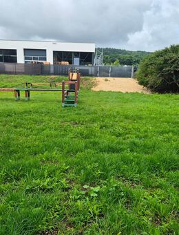 Hundewiese Mieten - Dollnstein