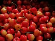 Selbstgemachte Marmelade und Gelee zum aussuchen - Lindern (Oldenburg)