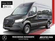 Mercedes Sprinter, 3.5 317 L2H2 t, Jahr 2023 - Trittau