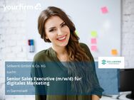 Senior Sales Executive (m/w/d) für digitales Marketing - Darmstadt