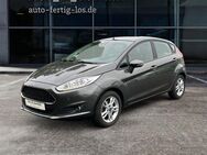 Ford Fiesta 1.0 SYNC-Edition PDC RFK Winter-Paket - Langenhagen