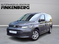 VW California, 1.5 TSI Caddy Maxi California, Jahr 2024 - Verden (Aller)