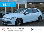 VW Golf, 2.0 TDI MOVE, Jahr 2024 - Bürgstadt