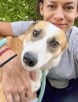 DARCY ist ein sanftes Mädchen ♥️ - München