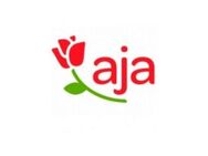 SPA-Rezeptionist (m/w/d) | dqnvqq - Rostock