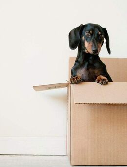 Kisten auspacken und einziehen - Schlüsselfertige Häuser von Bien-Zenker - Heiden