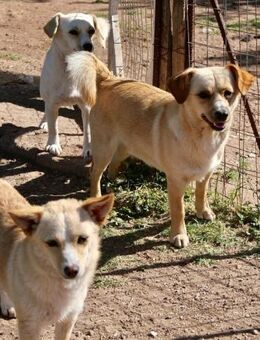 Milos-freundlich und zugänglich - Haan