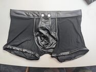 Durchsichtige Shorts, Dessous Größe XL - Hinte