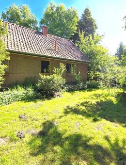 Junges und preiswertes Einfamilienhaus in ländlicher Lage - Ovelgönne