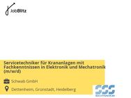 Servicetechniker für Krananlagen mit Fachkenntnissen in Elektronik und Mechatronik (m/w/d) - Dettenheim