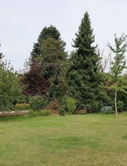 Sie suchen einen großzügigen Bungalow? - Altdorf (Nürnberg)