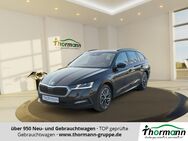 Skoda Octavia, 2.0 TDI Combi Ambition FLA DynLi, Jahr 2020 - Stendal (Hansestadt)