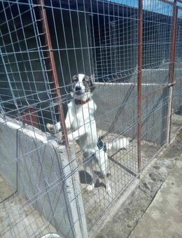 Mati, freundlich und menschenbezogen - Bonndorf (Schwarzwald)
