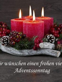 Für Weihnachten das ganz besondere Geschenk: Sacherl in traumhafter Alleinlage im schönen Rottal mit Nebengebäude und ca. 25.768 m² Grundstück - Triftern