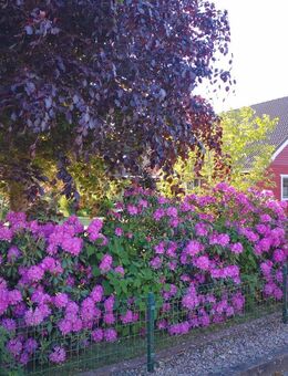 *Von privat* Einfamilienhaus in beliebter Lage - Mildstedt