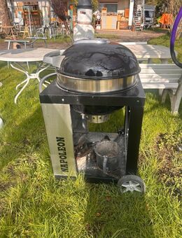 Napoleon Holzkohlegrill- Profi Grill mit Thermometer - Owingen