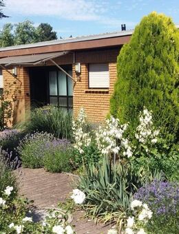 Bungalow mit Gartenidylle in Battenberg - Battenberg (Pfalz)