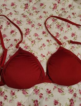 Modisch sexy gewagter Push Up Bikini Set 2.tlg - Uchte