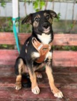 Wunderbare Yulie - München