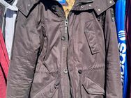 Winterjacke Herren,Tom Tailor - Duisburg