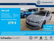 VW Golf, 2.0 TDI VIII Life 8-fach, Jahr 2023 - Gersthofen