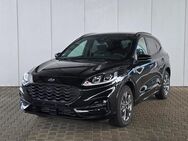 Ford Kuga ST-Line 1.5 Ecoboost 150 PS 6MT Navi / P... - Selent