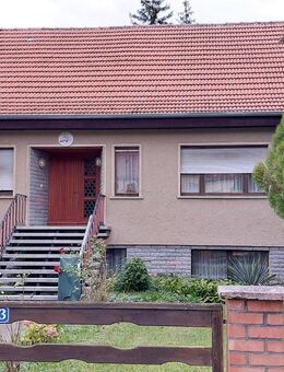 Schön gelegenes, großes Einfamilienhaus mit 10.000,00 m² Grundstück. - Osterburg (Altmark)