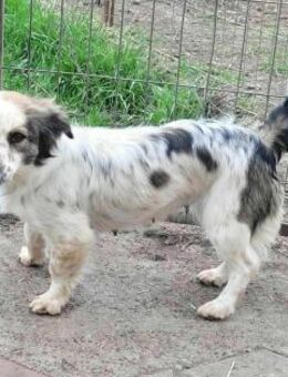 Ju'Ni ♥ Baby unserer April - Uetze