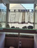 Aquarium Superfish 80Home mit Unterschrank in 44575