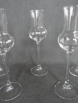 Set GRAPPAGLÄSER 5x Schnapsglas XXL-Höhe neuwertig - Köln