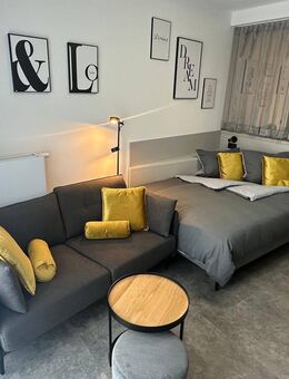 Exklusive möblierte 1-Raum-Wohnung mit gehobener Innenausstattung in Bamberg - Bamberg
