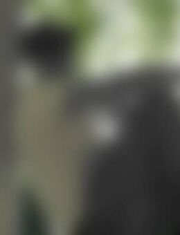 Onl*** - Benningen (Neckar)