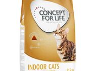 3 kg Concept for Life zum Sonderpreis! - Indoor Cats 3 kg