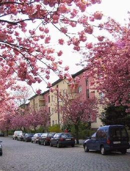 Sonniger Balkon gewünscht? - Berlin