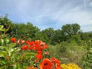 Traumhafter Bauplatz zwischen Limburg und Diez. - Aull