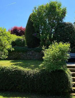 Harmonisches Familienhaus in grüner Oase - großzügig & einladend - Ascheberg