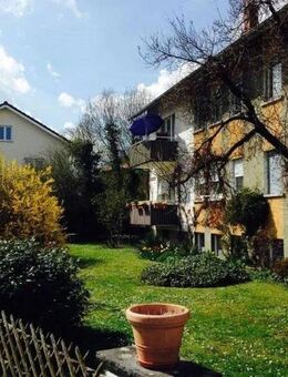 Schnucklige Wohnung in Rielasingen-Arlen - Rielasingen-Worblingen