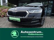 Skoda Octavia, 2.0 TDI IV Combi Tour, Jahr 2022 - Hiddenhausen