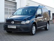 VW Caddy, 2.0 TDI Beach Camping-Paket, Jahr 2020 - Meißen