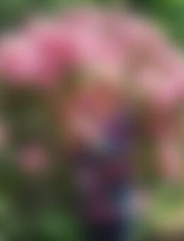 Nat*** - Waltershausen